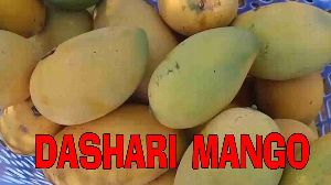 Dashari Mango