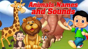 Animal Names And Sounds
