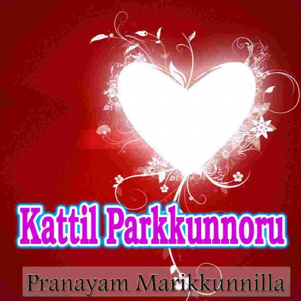 premium banner