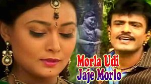 Morla Udi Jaje Morlo