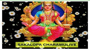 Sakalopa Charamulive