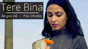 Tere Bina Without You