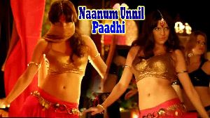 Naanum Unnil Paadhi