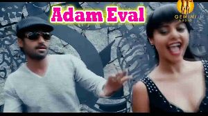 Adam Eval