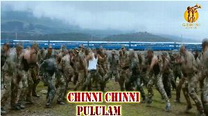 Chinni Chinni Pululam