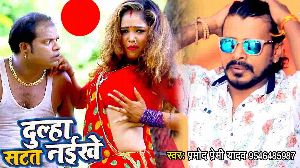 Dulha Satat Naikhe