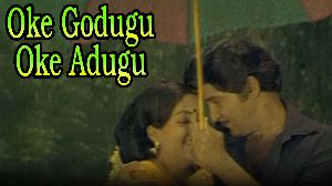 Oke Godugu Oke Adugu