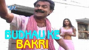 Budhau Ke Bakri
