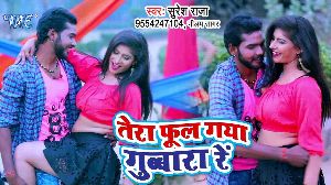Tera Phool Gaya Gubara Re