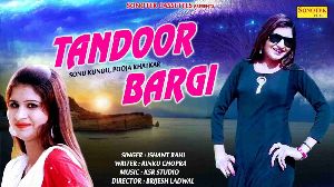 Tandoor Bargi