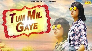 Tum Mil Gaye