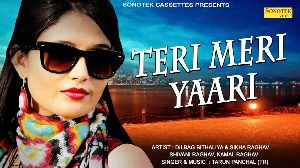 Teri Meri Yari