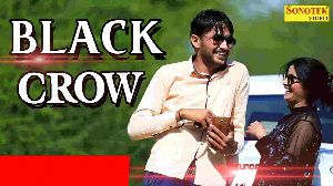 Black Crow