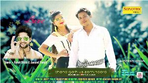 Chandigarh Vs Zamindara