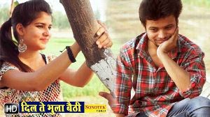 Dil Te Bhula Baithi