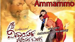 Amammo