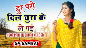 Hoor Pari Dil Chura Ke Le Gayi