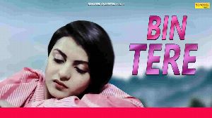 Bin Tere