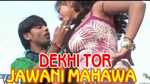 Dekhi Tor Jawani Mahawa Me Pani Bhar Gail Re