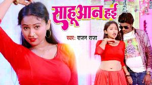 Sahuaan Hai