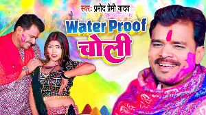 Water Proof Choli