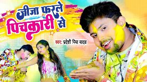 Jija Farle Pichkari Se