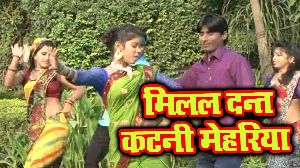 Milal Dant Katni Mehariya