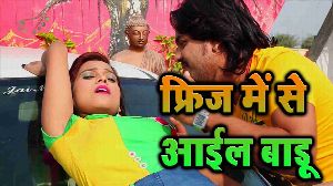 Fridge Me Se Aail Badu