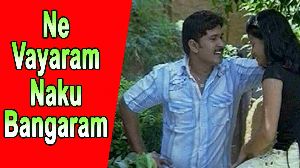 Ne Vayaram Naku Bangaram