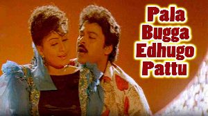 Pala Bugga Edhugo Pattu