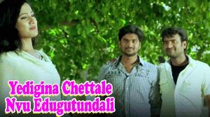 Yedigina Chettale Nvu Edugutundali
