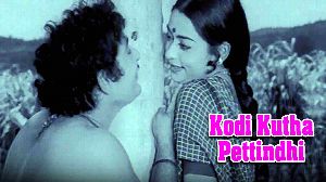 Kodi Kutha Pettindhi