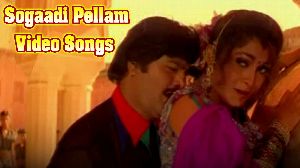 Sogaadi Pellam Video Songs -5