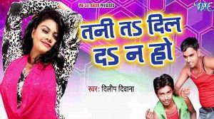Tani Ta Dil Da Na Ho