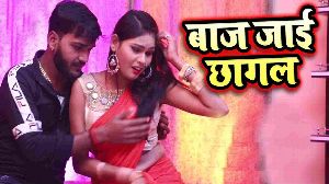 Baaj Jayi Chhagal