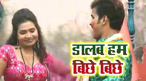 Dalab Ham Biche Biche