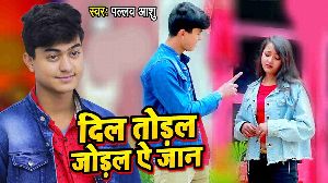 Dil Todal Jodal Ae Jaan