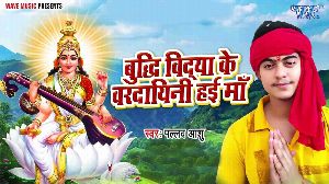 Buddhi Vidya Ke vardeyini Hai Maa