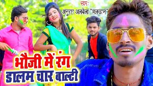 Bhauji Me Rang Dalam Chaar Balti