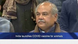 India launches COVID vaccine for animals