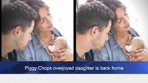 Piggy Chops overjoyed daughter is back home