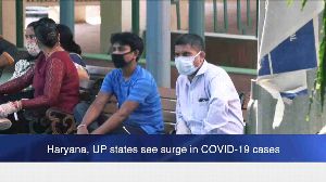Haryana, UP states see surge in COVID-19 cases