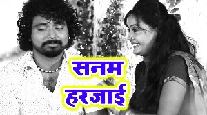 Sanam Harjayi