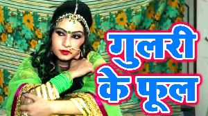 Gulari Ke Phool