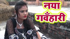 Naya Gavanhari