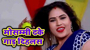 Mosammi Dhake Gaad Dihlas