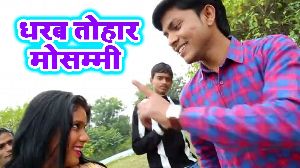 Dharab Tohar Mosammi