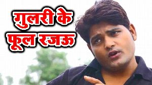 Gulari Ke Phool Rajau