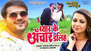 Pyar Ke Anchar Daliha