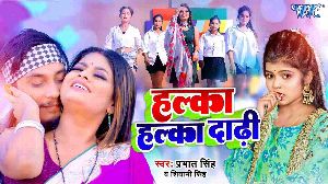 Halka Halka Dadhi